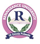 Renaissance-University